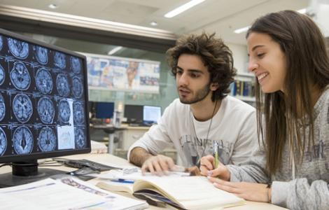 מגמת נוירוקרימינולוגיה 